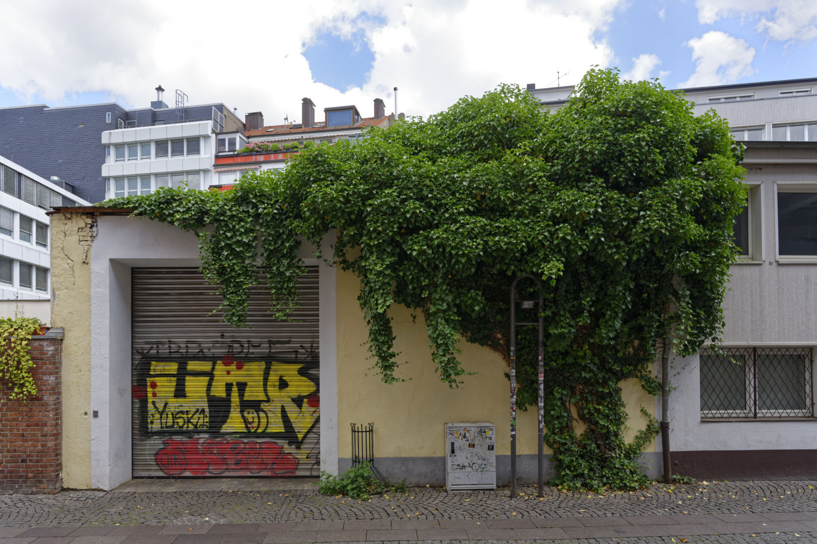 We love photography 1